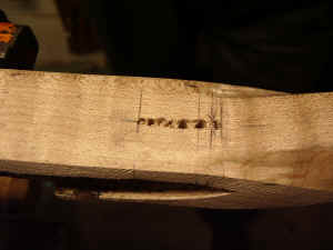 2006-09-30 002.JPG (240499 bytes)